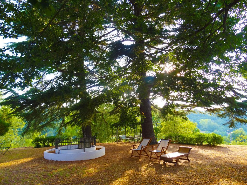 Piana Crixia La Celestina Bed & Breakfast エクステリア 写真